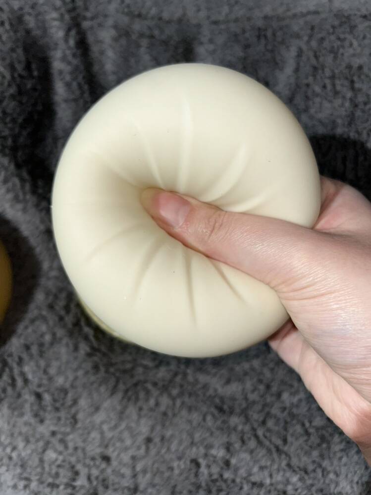 Bao Bun Squishy